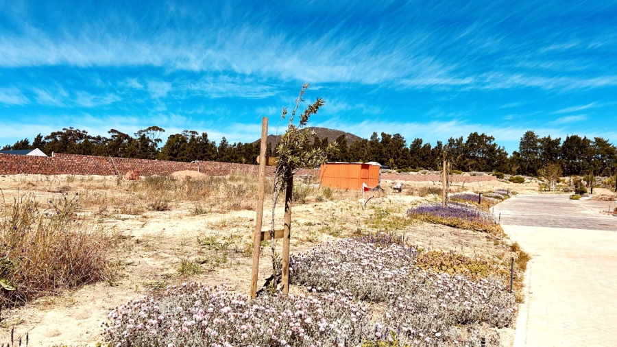 4 Bedroom Property for Sale in Klapmuts Western Cape